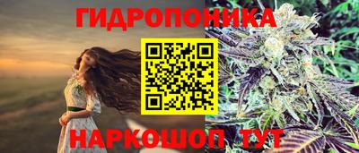 СК Изобильный