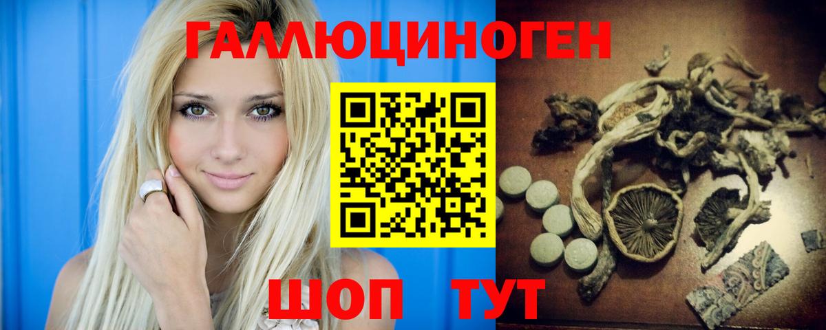 Псилоцибиновые грибы прущие грибы  Вход с VPN  Курчалой 