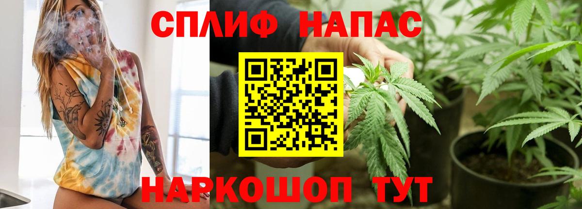МАРИХУАНА SATIVA & INDICA Курчалой